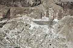 ���� �� ���� ����� ������ �� ��������