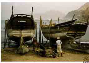 ������ ��� ��� 1964