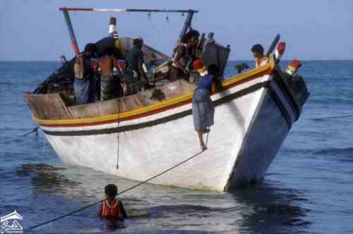 ���� ������ ��� 1972� ����� ����� ����