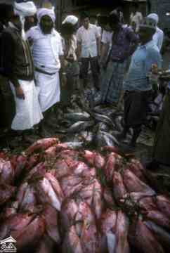 ���� ������ ������� ��  ������ � �����. (����� ����� ���� / ������� ��������� �������