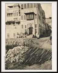 ���� ������ ��� ��� ����