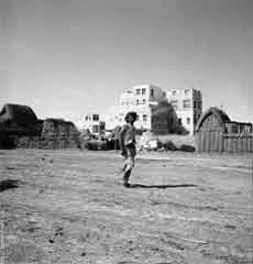 ���� ������ ��� ��� ����