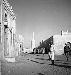 ���� ������ ��� ��� ����