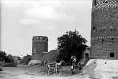 ���� ������ ��� ��� ����