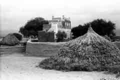 ���� ������ ��� ��� ����