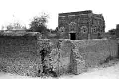 ���� ������ ��� ��� ����