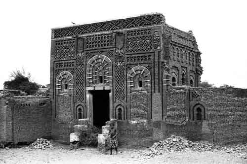 ���� ������ ��� ��� ����