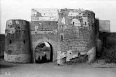 ���� ������ ��� ��� ����