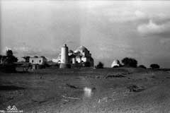 ���� ������ ��� ��� ����