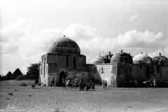 ���� ������ ��� ��� ����