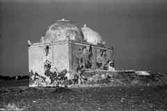 ���� ������ ��� ��� ����