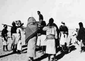 1961  ������