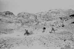 ���� ������ ��� ��� ����