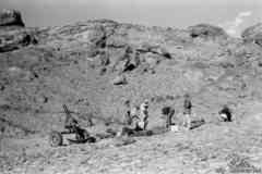 ���� ������ ��� ��� ����