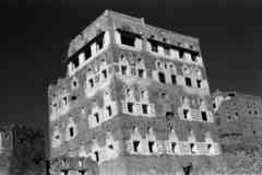 ���� ������ ��� ��� ����