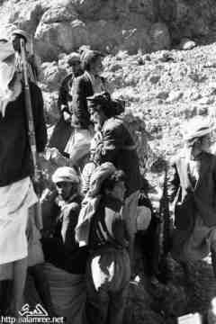 ���� ����� ��� ��� ����