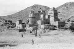 ���� ������ ��� ��� ����