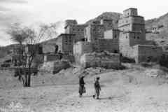 ���� ������ ��� ��� ����