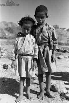 ���� ������ ��� ��� ����