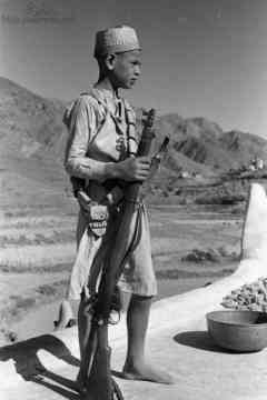 ���� ������ ��� ��� ����