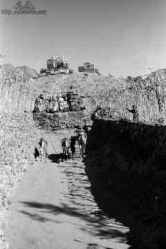 ���� ������ ��� ��� ����