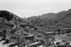 ���� ������ ��� ��� ����