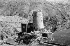 ���� ������ ��� ��� ����