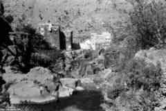 ���� ������ ��� ��� ����