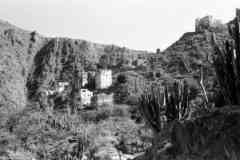 ���� ������ ��� ��� ����