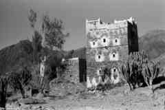 ���� ������ ��� ��� ����