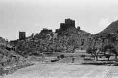 ���� ������ ��� ��� ����