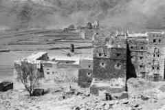 ���� ������ ��� ��� ����