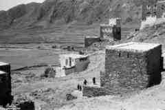 ���� ������ ��� ��� ����