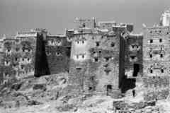 ���� ������ ��� ��� ����