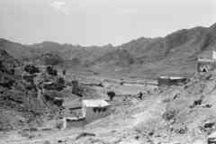 ���� ������ ��� ��� ����