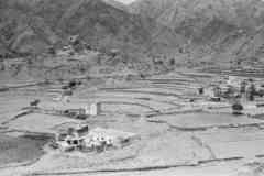 ���� ������ ��� ��� ����