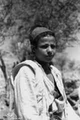 ���� ������ ��� ��� ����