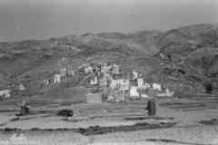 ���� ������ ��� ��� ����