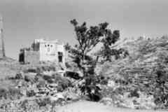 ���� ������ ��� ��� ����