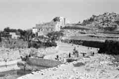 ���� ������ ��� ��� ����