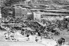 ���� ������ ��� ��� ����