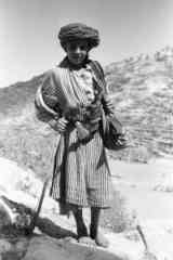 ���� ������ ��� ��� ����