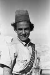 ���� ������ ��� ��� ����