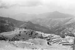 ���� ������ ��� ��� ����