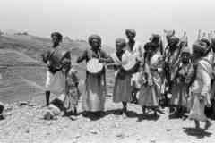 ���� ������ ��� ��� ����