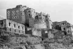 ���� ������ ��� ��� ����