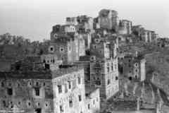 ���� ������ ��� ��� ����