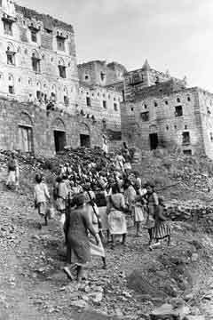 ���� ������ ��� ��� ����