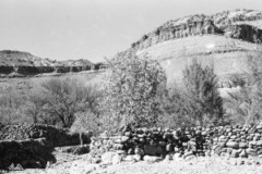 ���� ������ ��� ��� ����