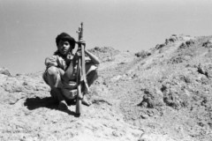 ���� ������ ��� ��� ����